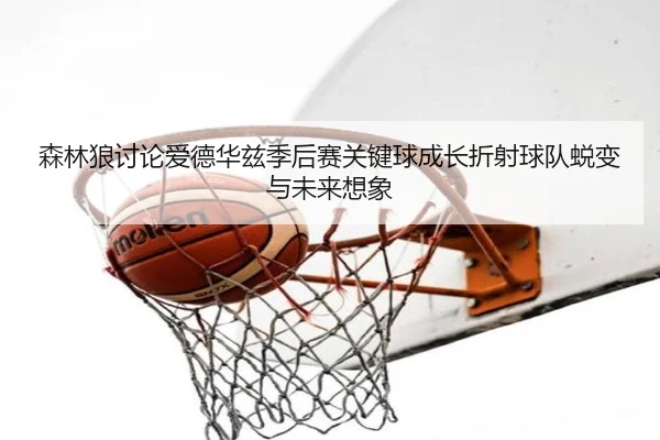 森林狼讨论爱德华兹季后赛关键球成长折射球队蜕变与未来想象